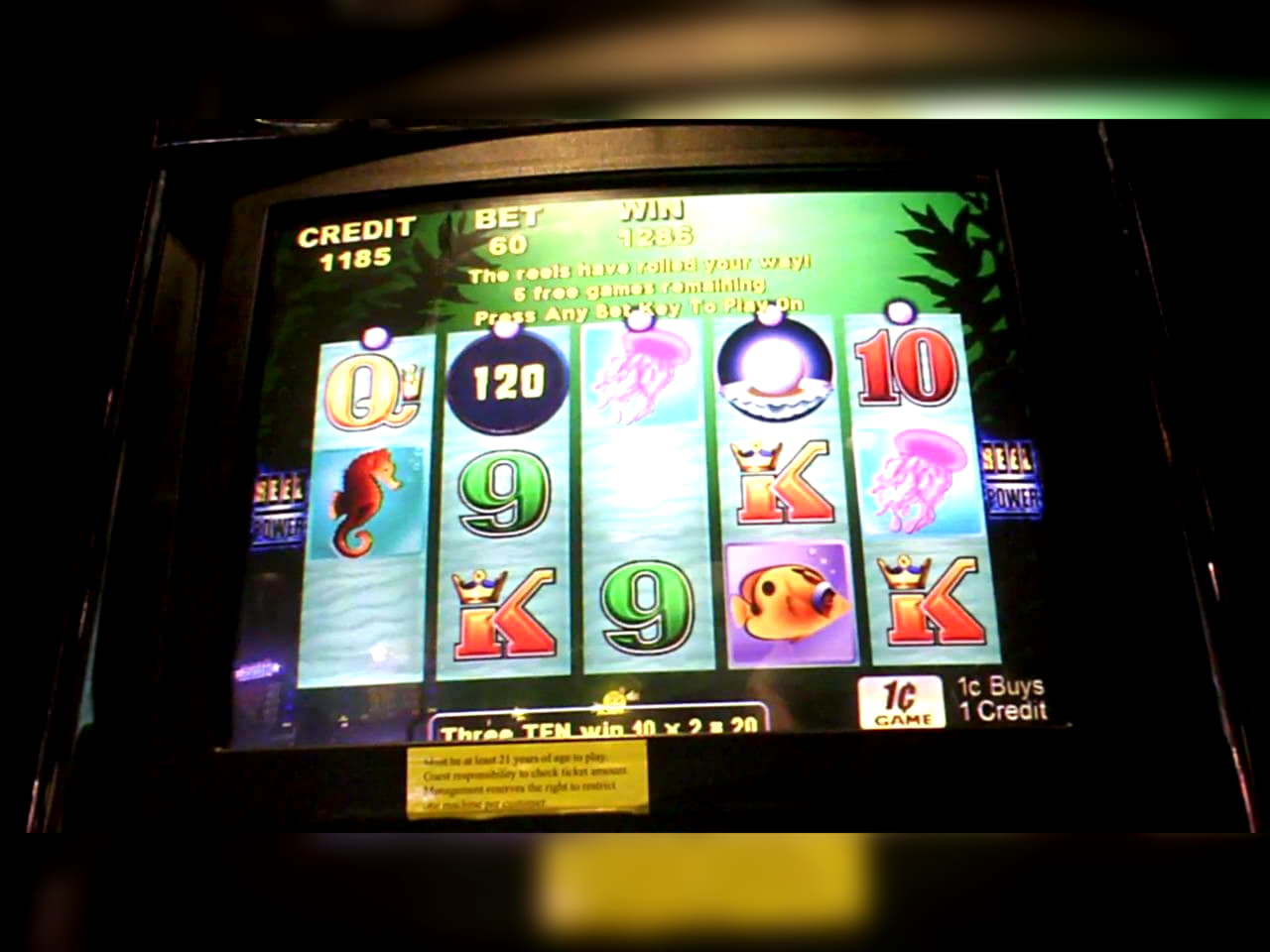 305% Match Bonus Casino bij Mrgreen Casino